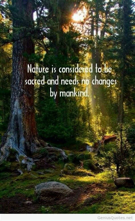 77 Nature Wallpapers With Quotes On Wallpapersafari