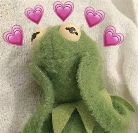 Kermitwallpapers instagram posts gramho com. Pin on Reaction pics
