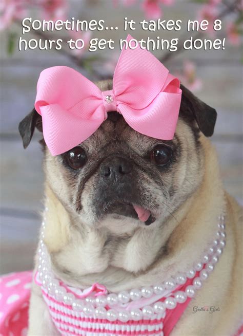 Easy to customize and 100% free. Funny Birthday Card for Her - Pug Card - Birthday Card - 5x7