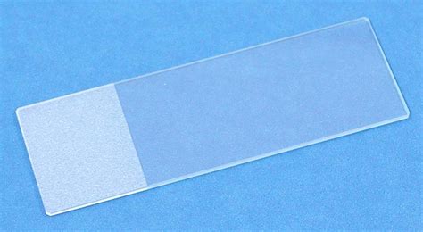 72 Frosted Glass Microscope Slides Beveled Edge Pre Cleaned Hst