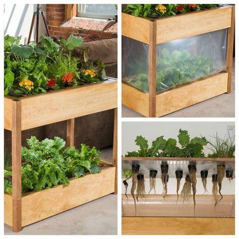 Furthermore, it is also the most effective hydroponic system as you can grow vegetables, herbs, fruits or plants in it throughout the year. Kratky hydroponic method of growing vegetables - Mom's Indoor Garden in 2020 | Growing ...