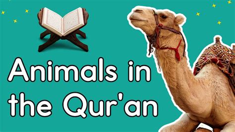 Animals In The Quran Youtube
