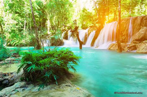The sae, pri, and iaqg websites are unavailable temporarily due to upgrades and product enhancements. Tad Sae Waterfall near Luang Prabang - Luang Prabang ...