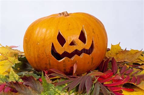 Halloween Pumpkin With Autumn Leaves Stock Image Image Of Jack