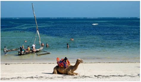 Water Sports And Activities You Must Try At Bamburi Beach In Mombasa