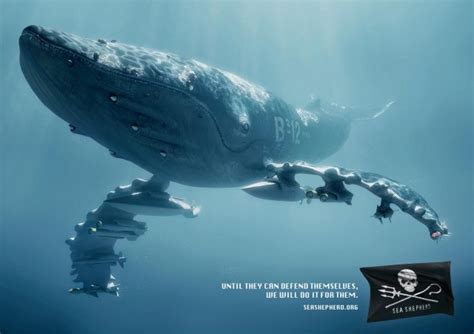 Sea Shepherd Campaign Une Campagne Originale Pour La Protection Des