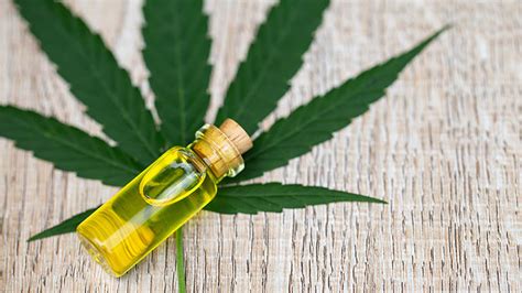 But let's take a look at what it consists of and is cbd oil haram or halal? Is CBD Haram or Halal | Guidance PA