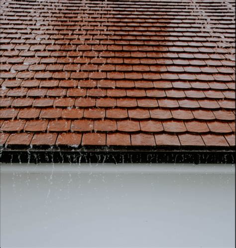 What Are The Signs Of A Leaking Roof In Winter Blog Empire Upvc
