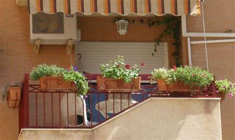 Las plantas colgantes son aquellas cuyos tallos no son erguidos; Composición para un balcón
