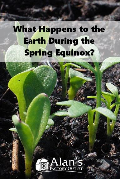 A Look At What Happens To The Earth During The Spring Equinox In 2020