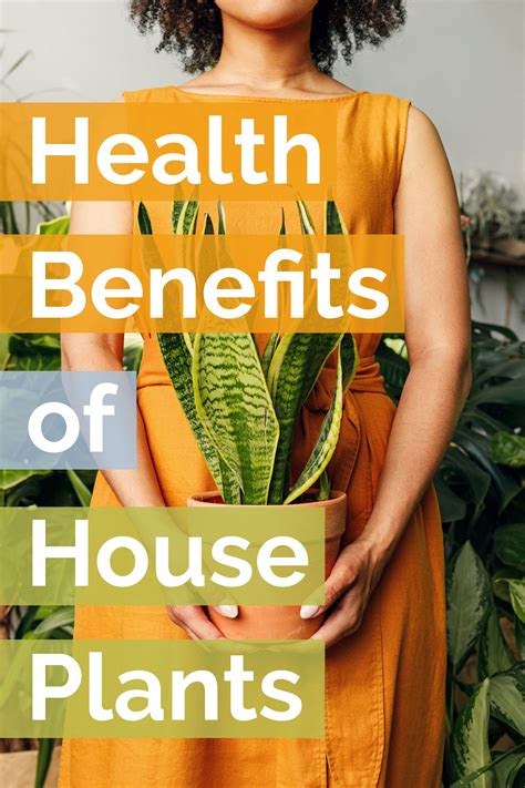 Health Benefits Of Houseplants Plant Benefits Health Health Benefits