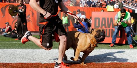Cleveland Browns Mascot Swagger Honored In Celebration Of Life Ceremony