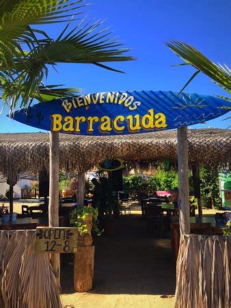 Book your perfect vacation rental in san jose del cabo, baja california sur on flipkey today! Costa Azul Surf School (San Jose del Cabo) - 2019 All You ...