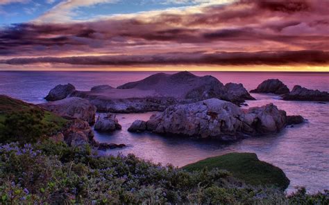 Wallpaper Coast Sea Rocks Flowers Clouds Sunset California Usa