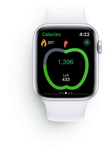 What we like take pics of your meal to look nutrients statistics. MyNetDiary - Free Calorie Counter and Diet Assistant