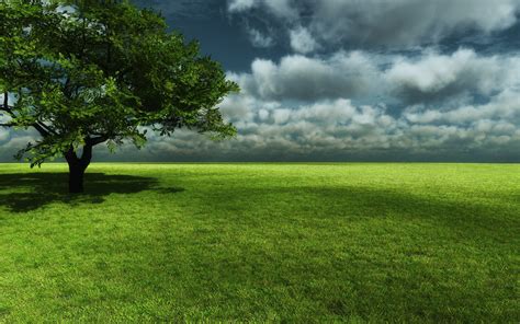 Fondos De Pantalla Luz De Sol Paisaje Colina Naturaleza Césped