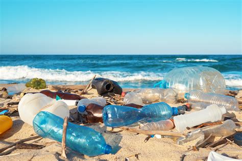 The first step towards a plastic pollution solution is learning how to reduce plastic use. The new wave of plastic hoping to wipe out pollution