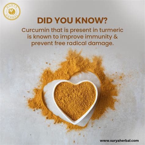 Turmeric Contains Curcumin Which Protects Against Free Radical Damage