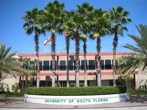 University Of South Florida Main Campus Data Usa