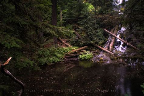 Proxy Falls The Ultimate Oregon Waterfall Experience