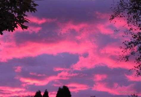 Pink Autumn Sky By Hummingbirds Redbubble
