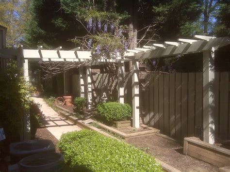 #wisteria #wisteria trellis #wisteria tunnel #flower #flowers #my gif. Wisteria Trellis/Arbor | Wisteria trellis Contact ...