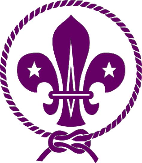Download High Quality Boy Scouts Logo Purple Transparent Png Images