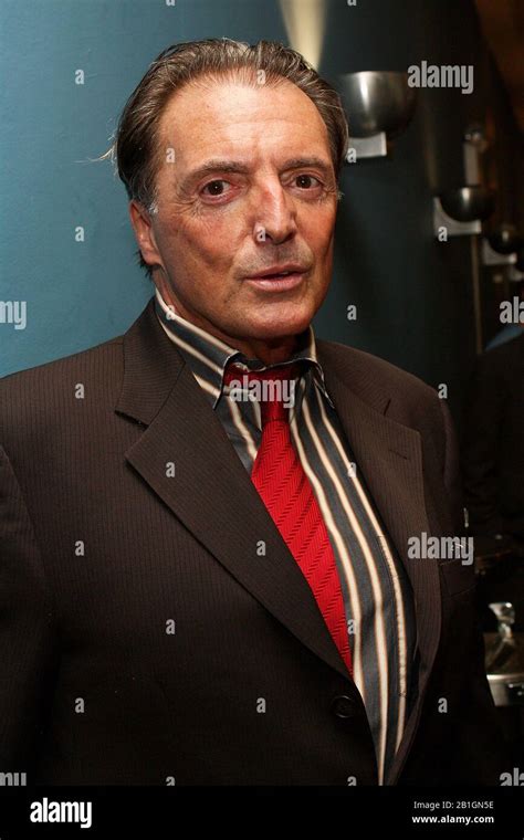 New York Ny Usa 17 March 2009 Actor Armand Assante At The Mdg Awards Global Launch Event