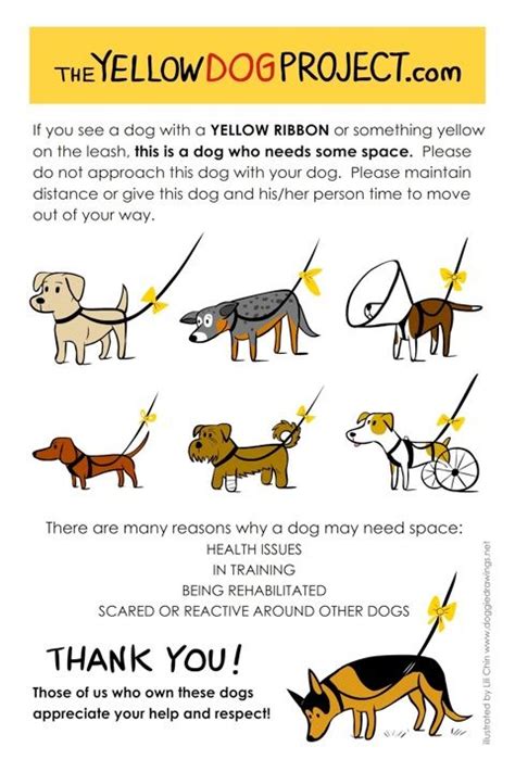 Walking nicely on leash can be a huge challenge for a puppy. Yellow Dog Project = If your dog needs space, tie a yellow ...