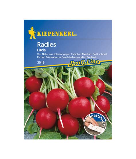 Saatband einpflanzen saatband auslegen saatband aussäen *mein frühbeet: Kiepenkerl Saatband Radies 'Lucia' | Dehner