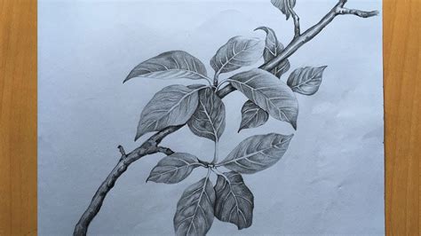 Details 79 Pencil Sketch Of Leaf Ineteachers