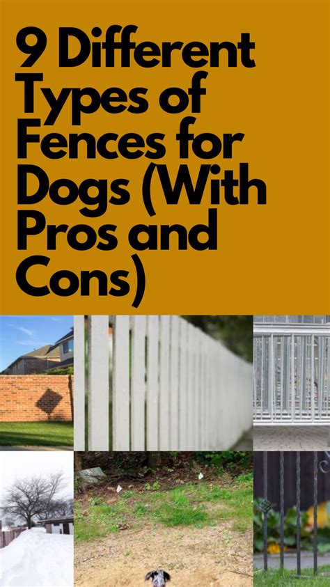 9 Different Types Of Fence For Your Dogs To Keep It Inside A Boundary