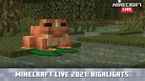 Minecraft Live 2021 Update Highlights