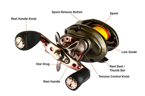 Baitcasters Vs Spinning Reels Which Is The Best Norrik