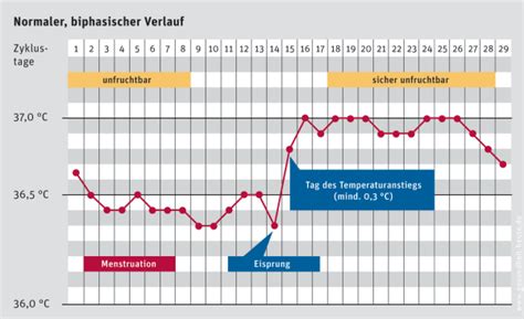 Wenn sie einen kürzeren, aber dennoch regelmäßigen zyklus haben, findet ihr eisprung früher statt, bei einem längeren regelmäßigen zyklus findet er später statt. Basaltemperaturmethode: Apotheke, Notdienst ...