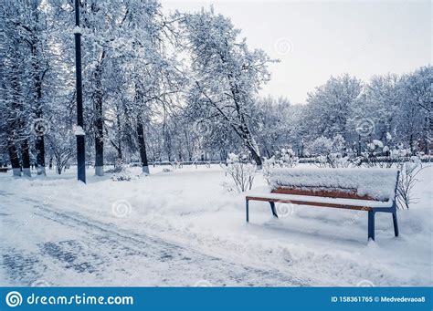 Garden Bench In The Park In The Winter Snowfall Seasonal Phenomenon