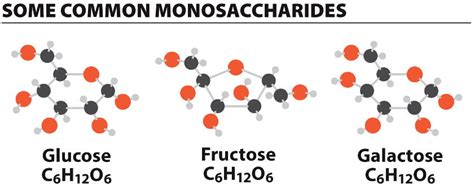 Monosaccharides03p55