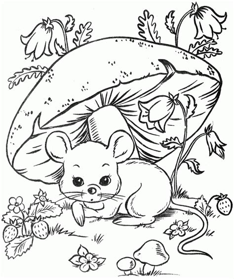 Download or print this amazing coloring page: 1000+ images about