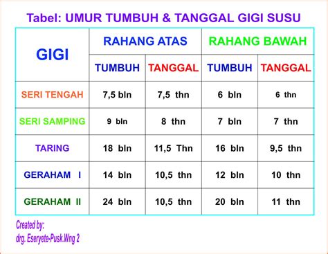 Apakah Gigi Yang Dicabut Bisa Tumbuh Lagi