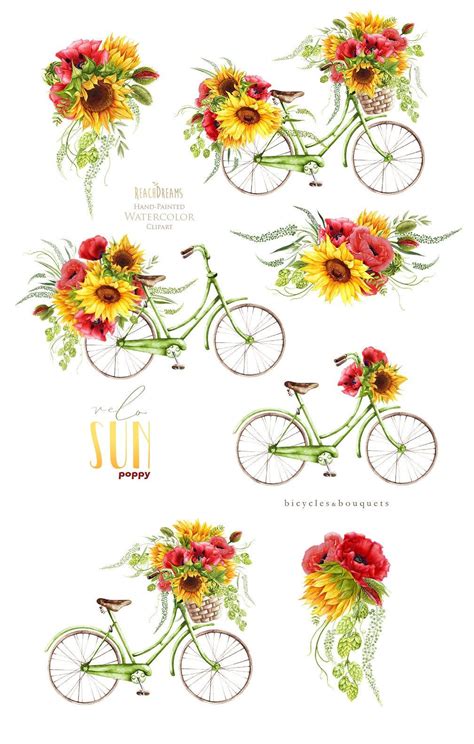 Download Sunflower Watercolor Flower clipart, red poppy, vintage ...