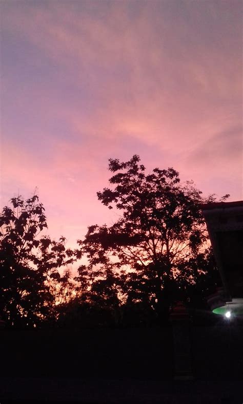 | … intip orang pacaran hot di taman ! #wallpaper #lightroom #journal #senja #aesthetic #paint # ...