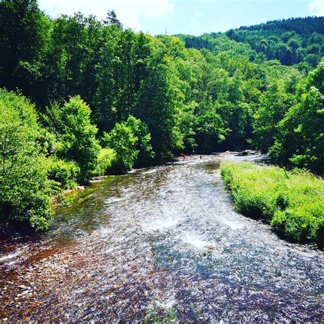 Aujourd'hui on va découvrir le ninglinspo, le seul cours d'eau de montage de belgique ! Trail Tour Ninglinspo; maak kennis met trailrunning in de ...