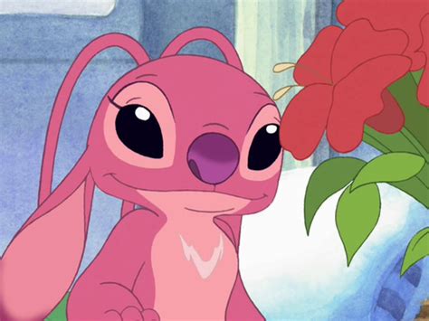 Angelgallery Disney Wiki Fandom Lilo And Stitch Characters