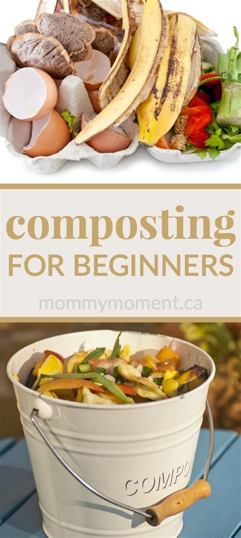 The coffees are listed in order of strength. Composting for Beginners - Gardening Viral