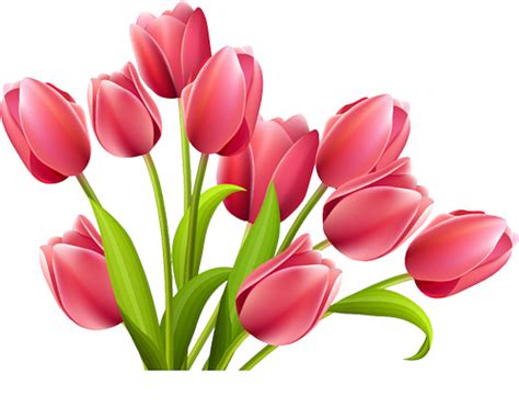 Pink Tulips Png Png Svg Clip Art For Web Download Clip Art Png Icon