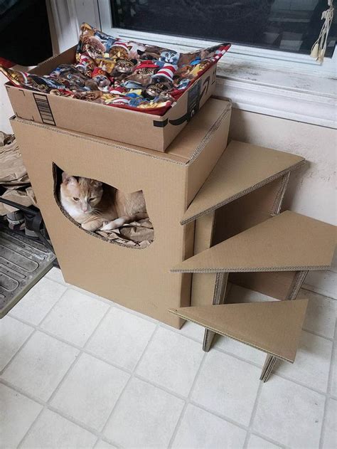 48 Miscellaneous Images To Entertain Your Brain Cardboard Cat House