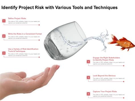 Identify Project Risk With Various Tools And Techniques Ppt Powerpoint