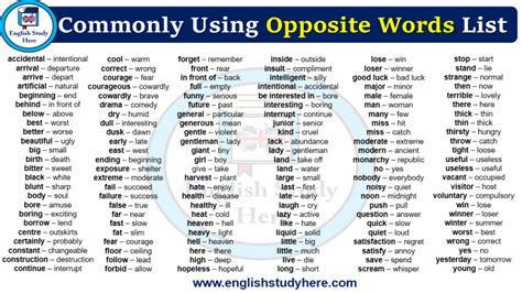 100 Opposite Words In English English Study Here
