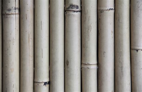 Bamboo Wood Texture Natural Shaft Fencing Wallpaper Photo Texture X