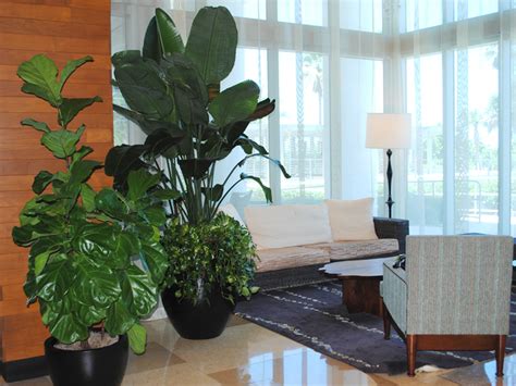 Indoor Landscape Design Plant Care Interiorscapes